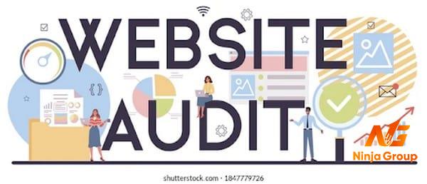 Audit Website là gì?