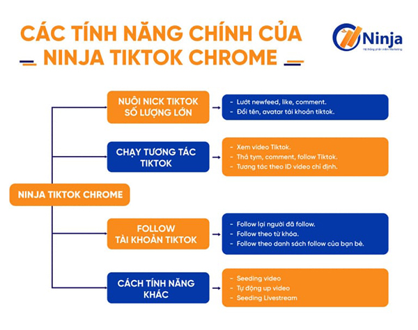 Các tính năng chính của Ninja Tiktok Chrome 